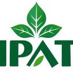 BILI PATRA